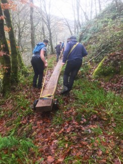 2025 12 21 13 21 55 715